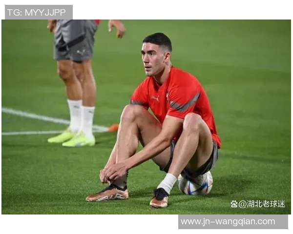 弗拉霍维奇在赛季中的精彩表现引发球迷热议与媒体关注