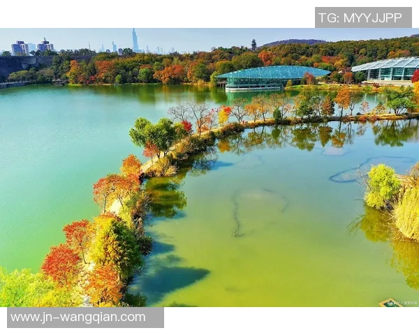 探索摩尔特里的神秘魅力与文化底蕴，揭示这座城市的独特风景与历史故事