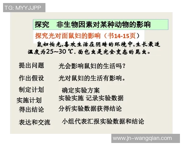 探索vs与bb之间的复杂关系及其对个人成长的影响